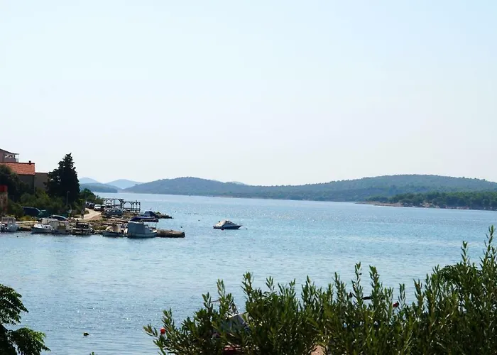 桑德拉旅馆 迪斯诺