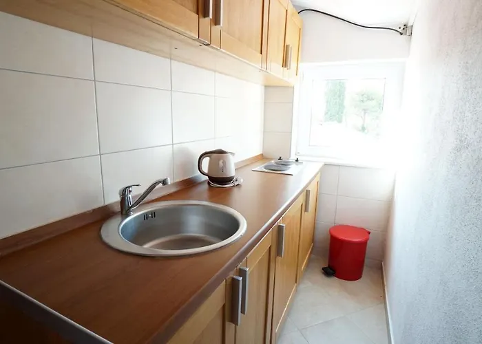 桑德拉旅馆 招待所 迪斯诺